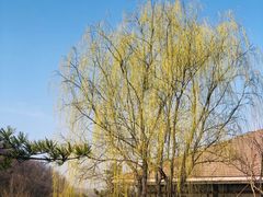 -金石唐风国际温泉会馆