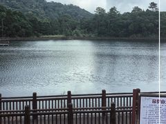 -海南热带雨林国家公园吊罗山景区