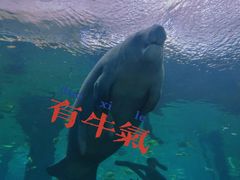 -珠海长隆海洋王国