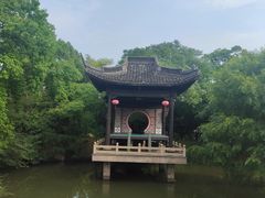 -西溪国家湿地公园