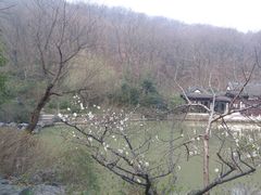 南山风景区03-南山风景名胜区