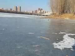 -长白岛森林公园