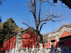 -潭柘寺景区