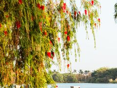 -海珠湖公园
