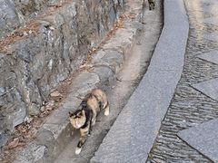 -望庐说·本地菜馆