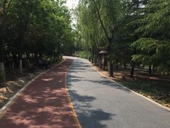 -大兴滨河森林公园