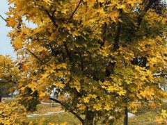 -汉长安城未央宫国家考古遗址公园