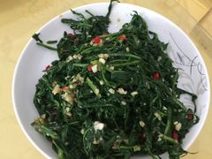 纯天然马应子，鲜美嫩香-山丹皇家马场