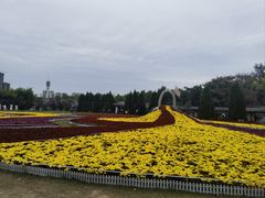 -杨家埠民间艺术大观园