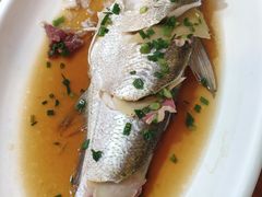 清蒸白水鱼-百家鲜·杭帮菜