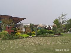 -上海长兴岛郊野公园