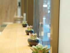 -Peet's Coffee皮爷咖啡(豫园店)