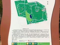 -大兴滨河森林公园