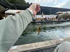 -DGE季风钓虾营地·团建·聚会