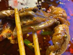 -宽口美蛙鱼头(大唐西市店)