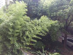 -海上海弘基休闲广场