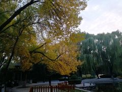 -玲珑塔公园