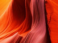 -瑞幸咖啡(紫金数码园店)