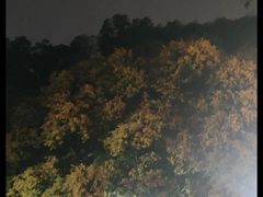 -鲤鱼塘农家山庄