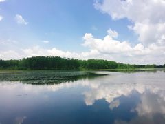 -塞罕坝国家级自然保护区