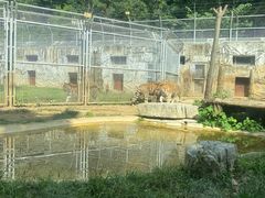 -黔灵山公园