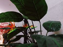 大堂-丽池宫韩式汗蒸会馆(华灯坊店)