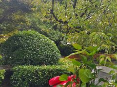 -苏宁易购(上海沪太路二店)