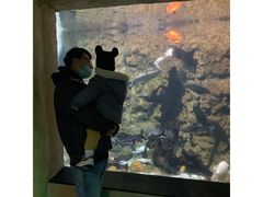-杭州海底世界