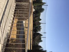 红螺园饭店-北京红螺园饭店