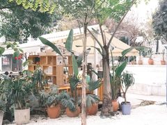 -柠檬花院烤肉·会议团建·聚会·求婚(三圣乡店)