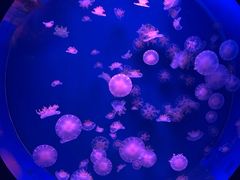 -多彩贵州城极地海洋世界