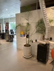 -BOF HAIR BY HONTO