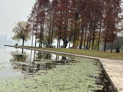 -团城山公园