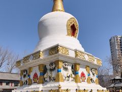 -护国法轮寺