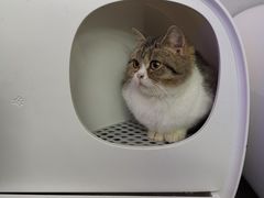 -极木²邸 人与宠物·互动社区