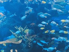 -多彩贵州城极地海洋世界