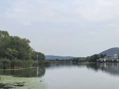 -长广溪湿地公园