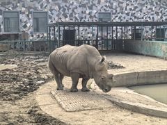 -哈尔滨北方森林动物园