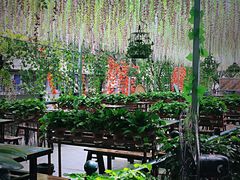 -一只烧鸡公(游仙店)