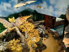 -安徽省地质博物馆