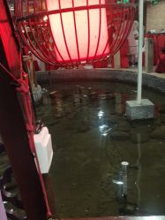 -特味村·宴会厅(生态园店)
