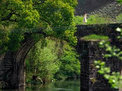 -新安江山水画廊风景区