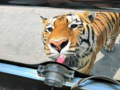 -西安秦岭野生动物园