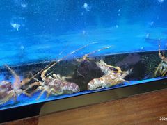 -西村日本料理(香格里拉饭店)