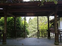 -千岛湖石林