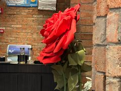 -LES ELITES 英集荟(南京西路店)