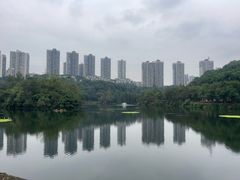 -重庆彩云湖湿地公园