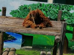 -西霞口神雕山野生动物世界