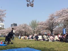 -帝京日语(春熙路旗舰校区)