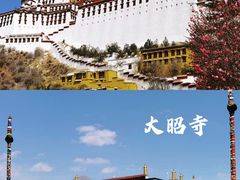 -布达拉宫